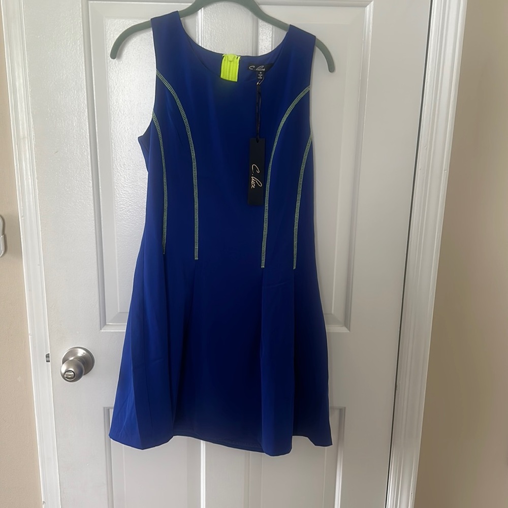 Never worn tennis skirt / dress